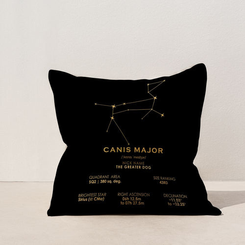 Canis Major Constellation Cushion