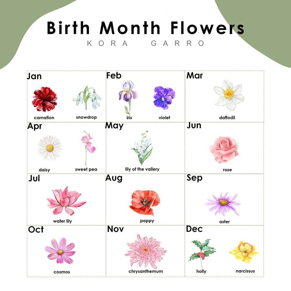 Jan Birth Flower Custom Throw Blanket - Carnation, Snowdrop