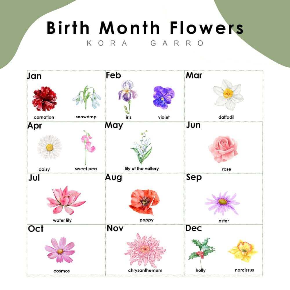 lily birth flower month May Birth Flower - Named flower Blanket