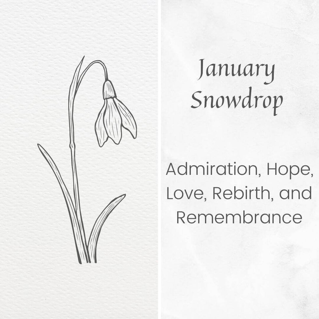 koragarro january birth month flower custom snowdrop necklace