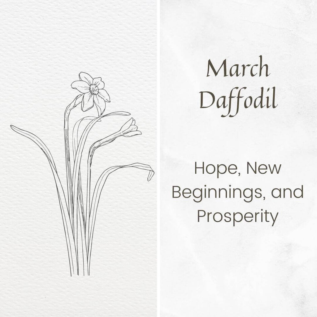 koragarro March birth month flower custom daffodil necklace 
